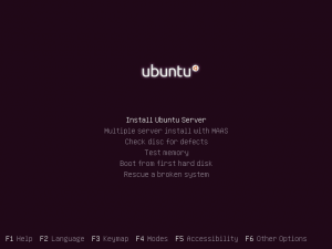 Read more about the article How To Install Ubuntu Server