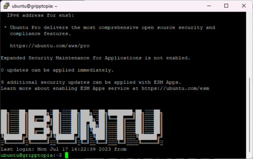 Read more about the article Add Text Art To Ubuntu Server Login Message Because.. Why Not?