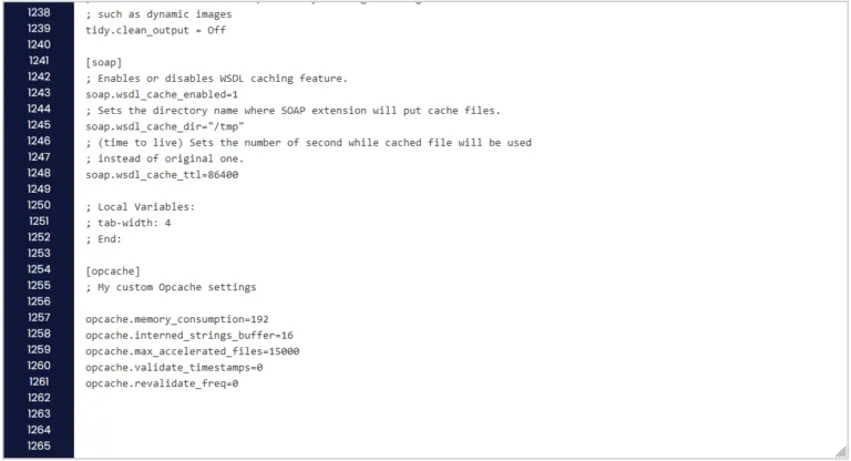 Custom OPcache settings